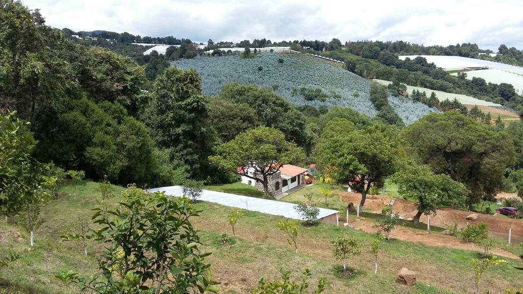 Rancho La Piedra Hotel Tenancingo de Degollado Екстериор снимка